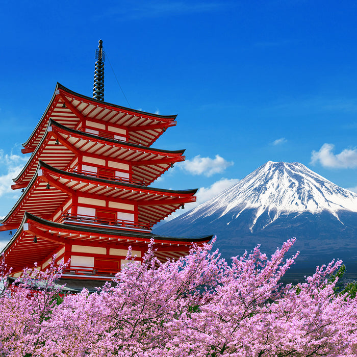 Golden Week in Japan 2024 - Popular Activities and Destinations
