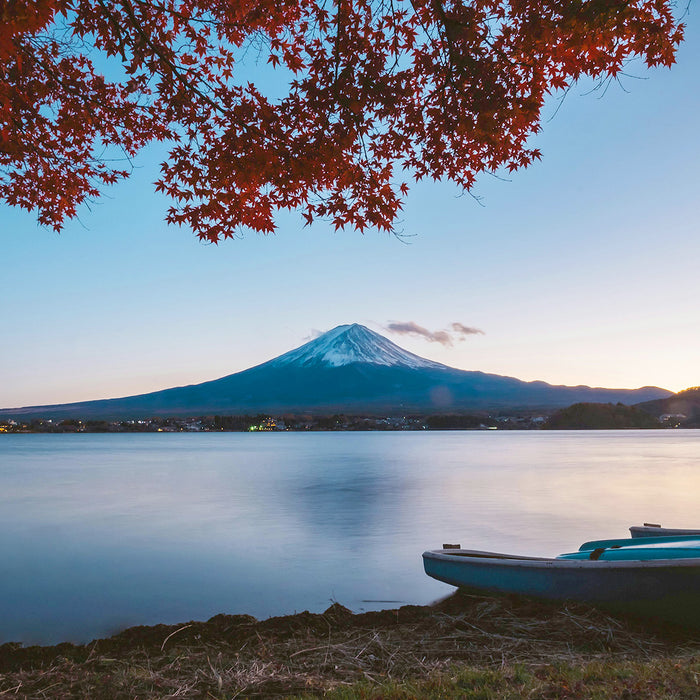 Best New Things to Do in Japan 2024