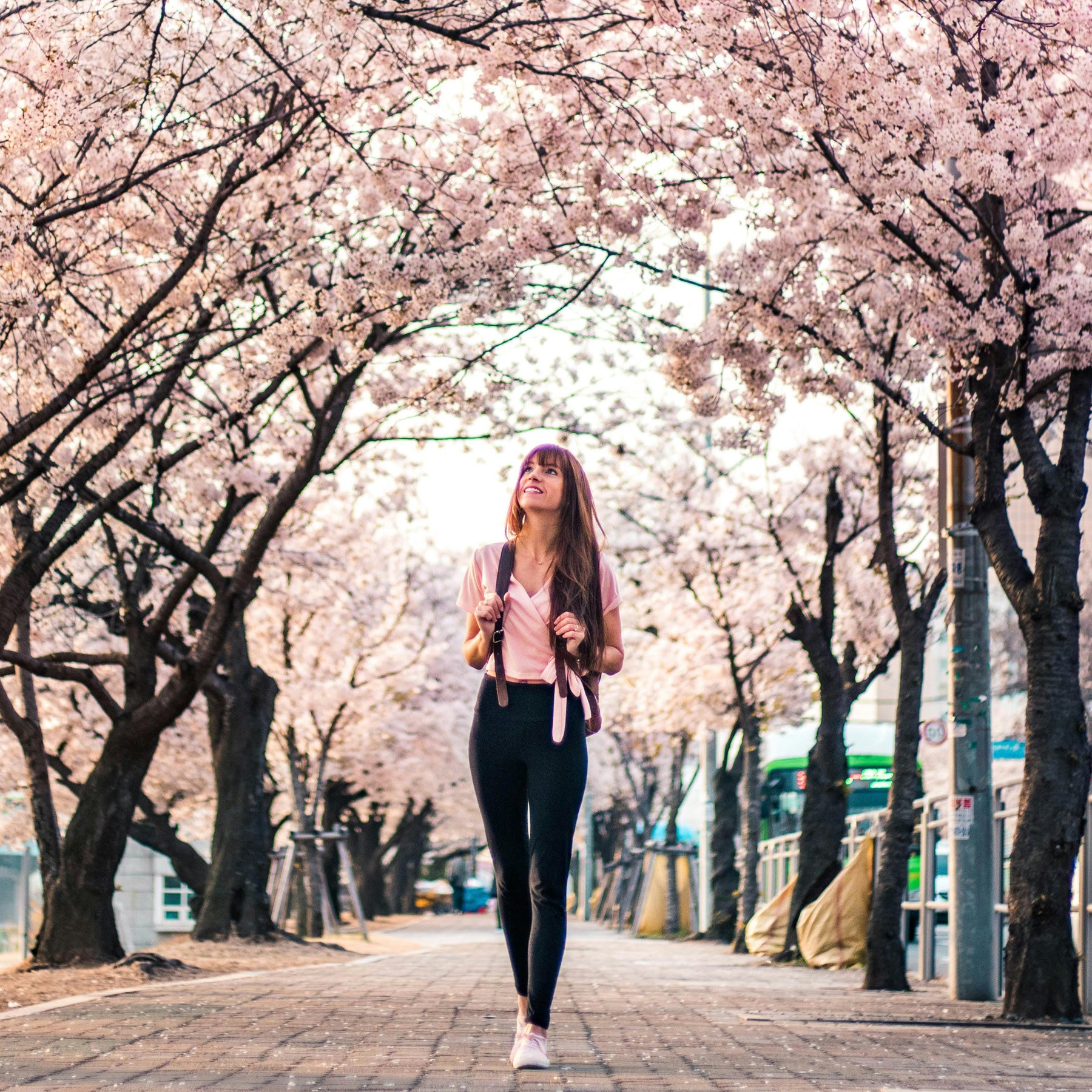 The Enchanting Tradition of Cherry Blossoms Hanami: Celebrating Sakura in Japan