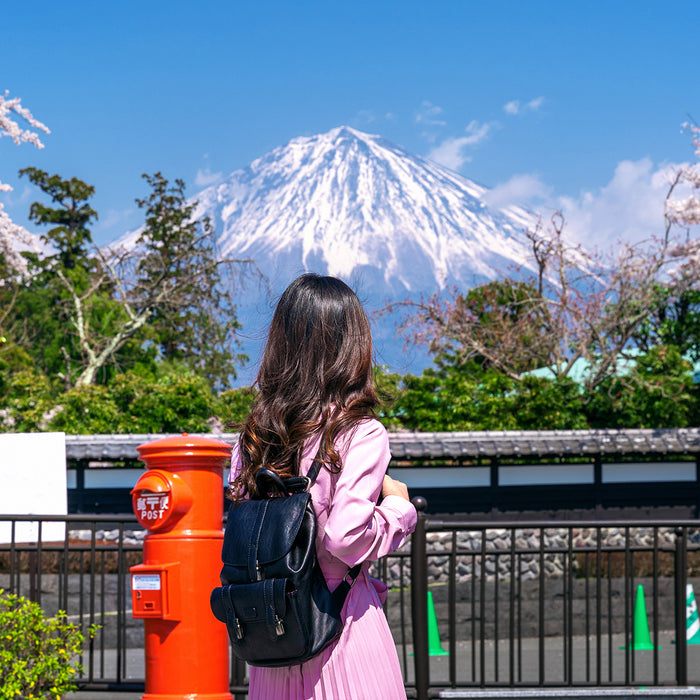 The most popular Japanese dishes among tourists