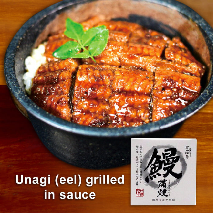 Unagi (eel) grilled in sauce